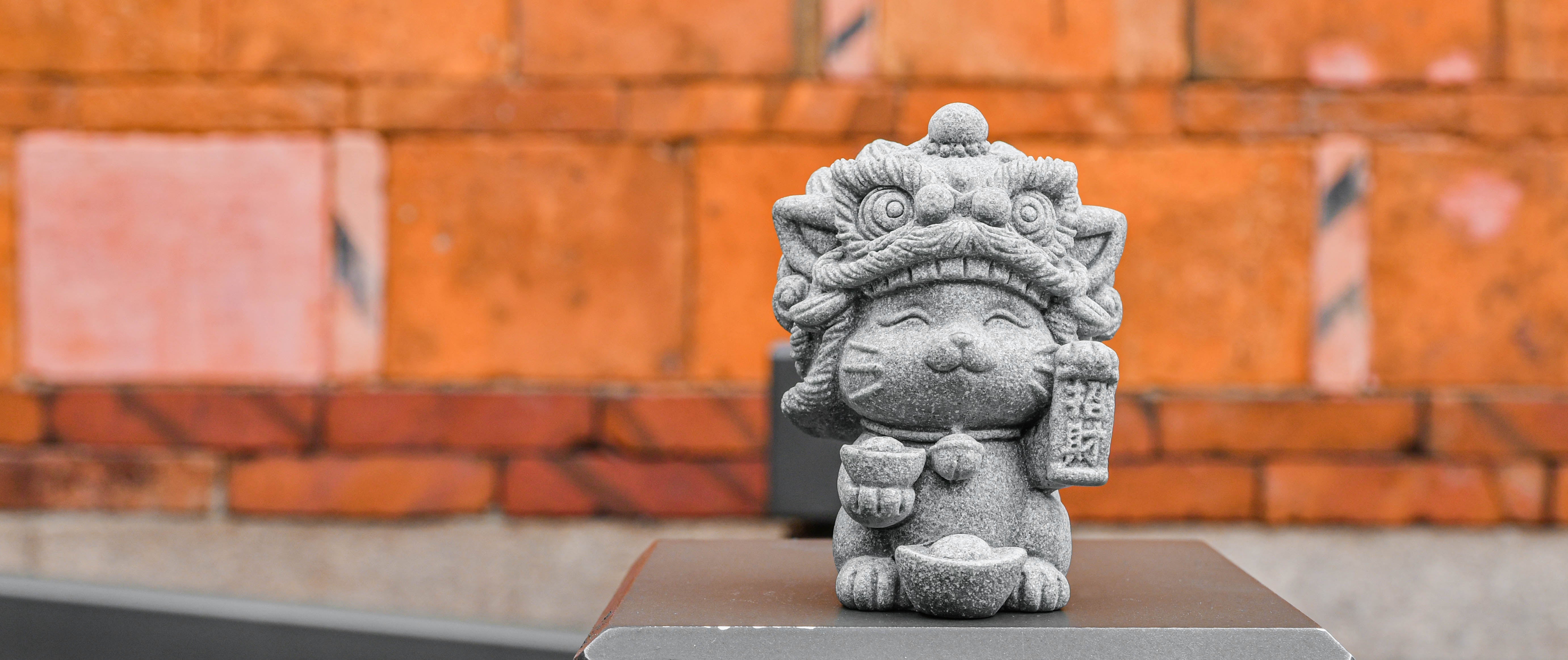 Lucky the Lion-Dance Cat