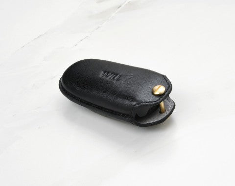 Coaster Keyless Tesla Model X