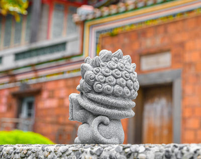Lucky the Lion-Dance Cat
