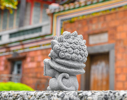 Lucky the Lion-Dance Cat