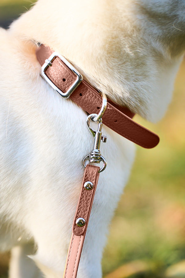 Cooper Collar