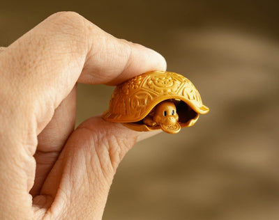 Wealth Turtle & Golden Fortune Vault - 2027 Edition