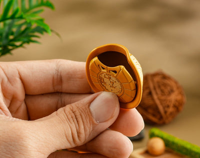 Health & Vitality Turtle + Wellness Vault - 2027 Edition