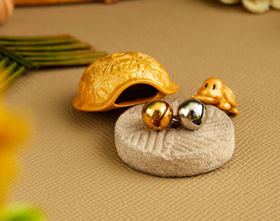 Fortune & Blessing Turtle + Blessing Vault - 2027 Edition