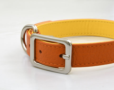 Cooper Collar