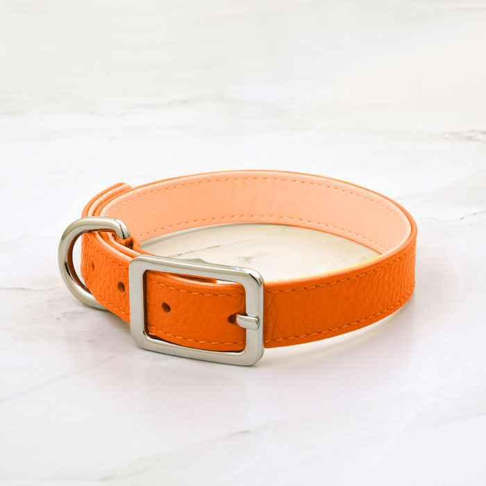 Cooper Collar