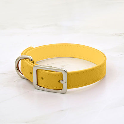 Cooper Collar