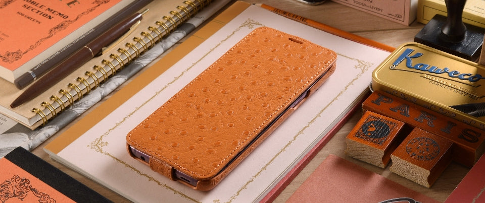 Down Flip Leather Case