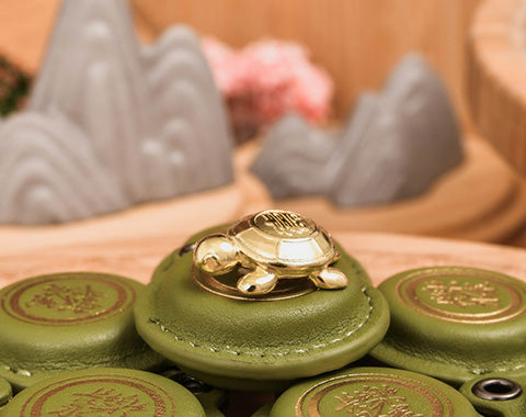 Good Luck Turtle Matcha Green Keyring - 2024 Edition