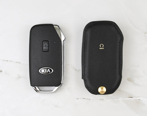 Coaster Keyless Kia Telluride