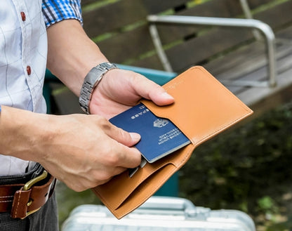 Voyager Passport Wallet